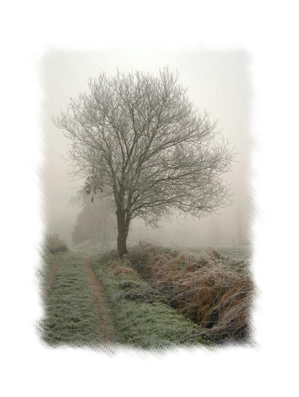 Op weg naar Roosbeek in de mist.jpg