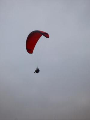 DSC01527.jpg