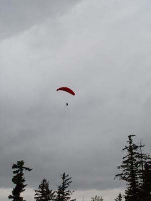 DSC01528.jpg