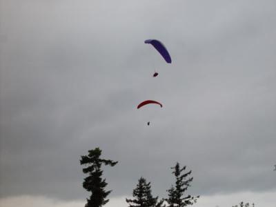 DSC01529.jpg