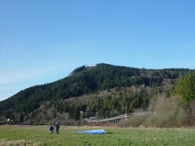 DSC00316.jpg
