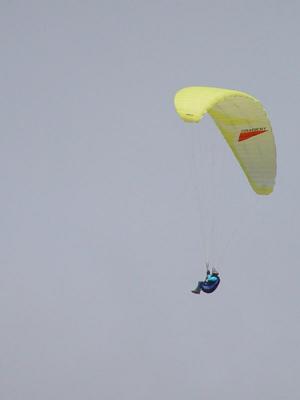 DSC00688.jpg
