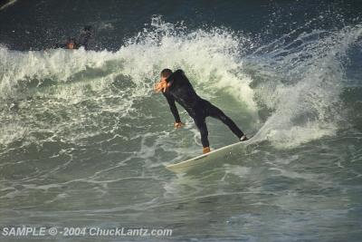 IMG22748.jpg