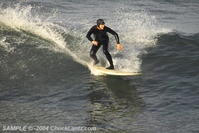 IMG22767.jpg