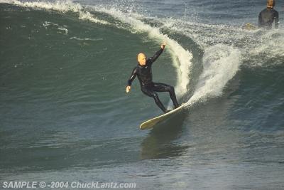 IMG22768.jpg
