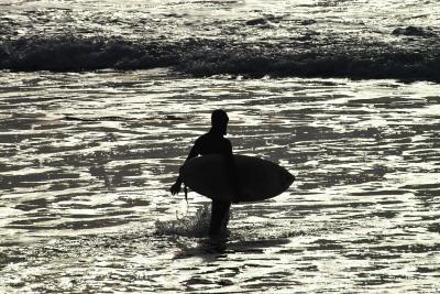 IMG24356.jpg