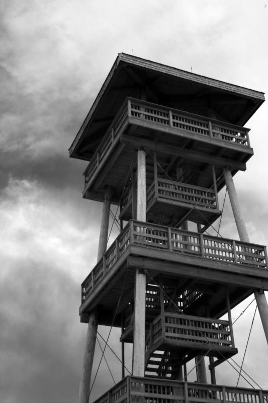 IMG07750ir.jpg