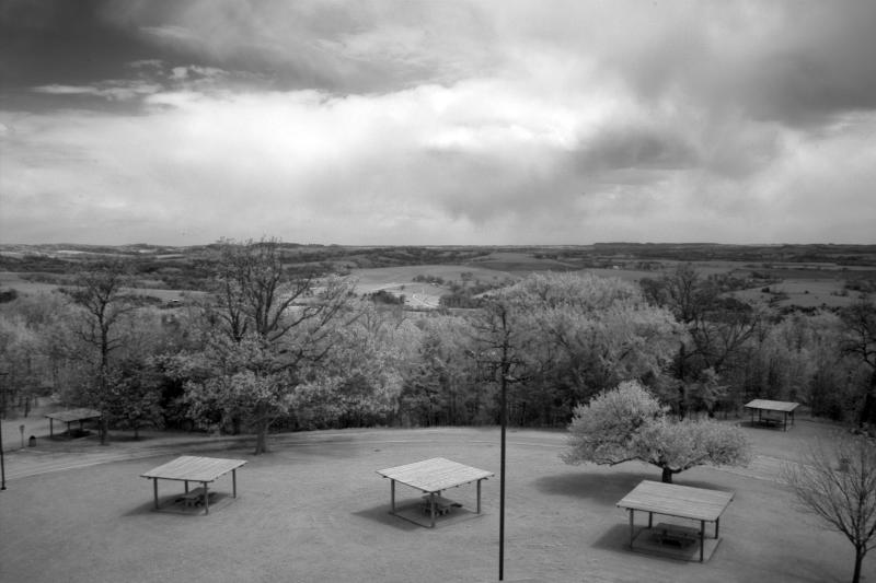 IMG07752ir.jpg