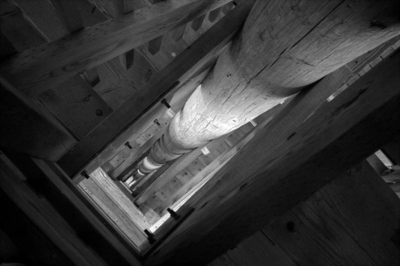 IMG07784ir.jpg