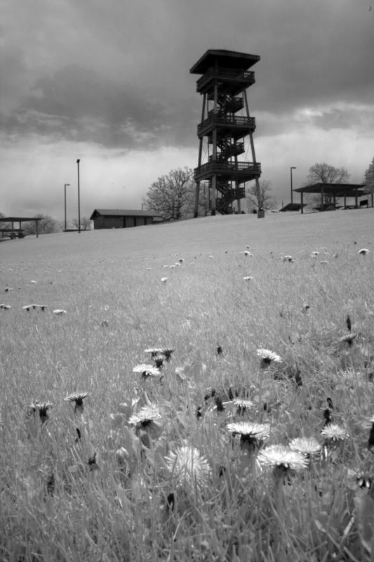 IMG07804ir.jpg