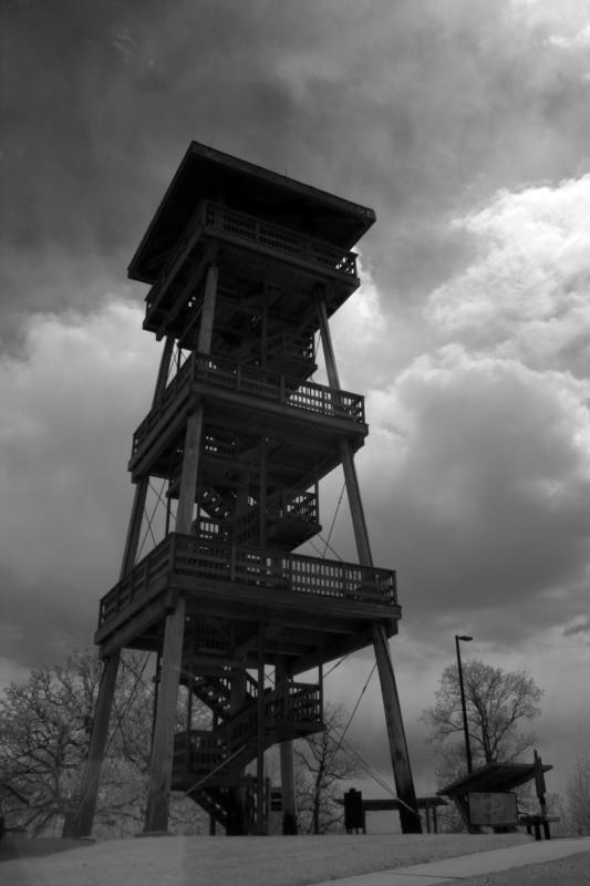 IMG07810ir.jpg
