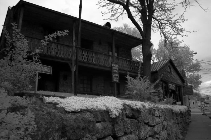 IMG07824ir.jpg