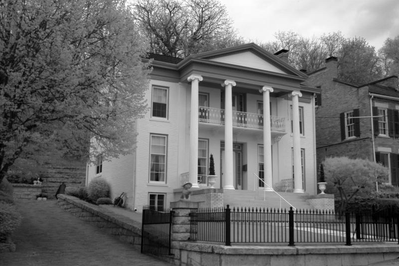 IMG07826IR.jpg