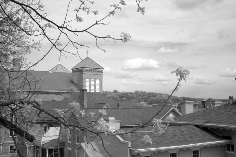 IMG07844ir.jpg
