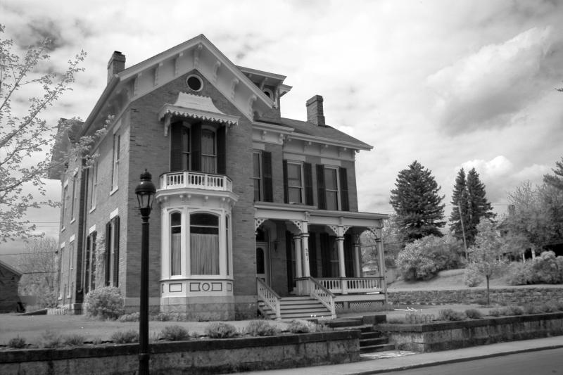 IMG07846ir.jpg