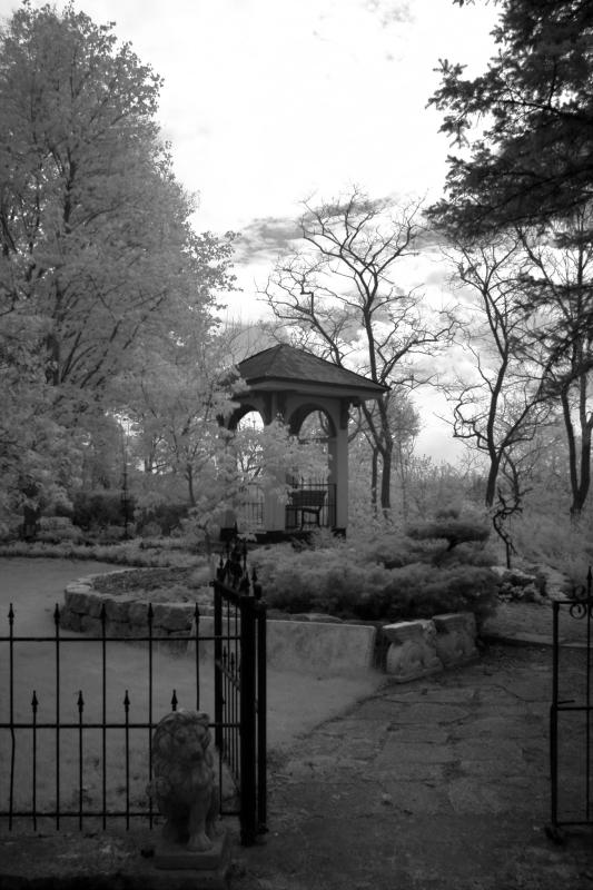 IMG07875ir.jpg
