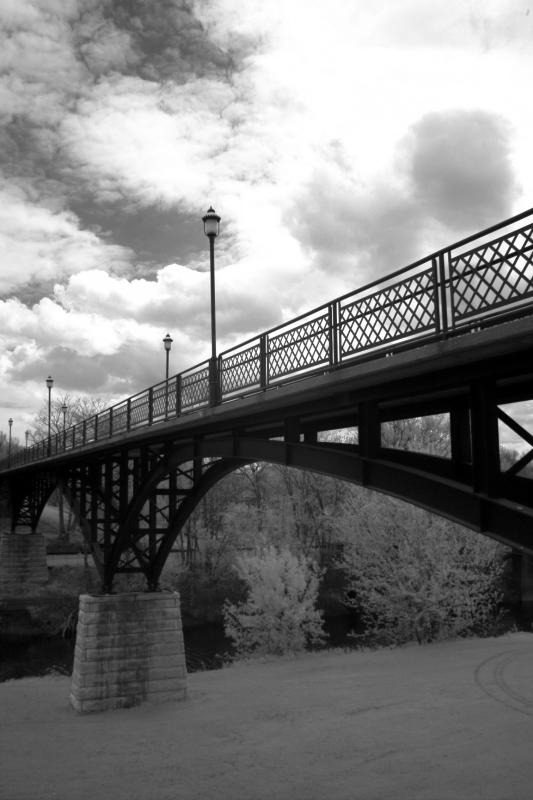 IMG07887ir.jpg