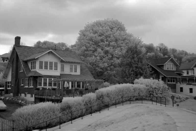 IMG07891ir.jpg