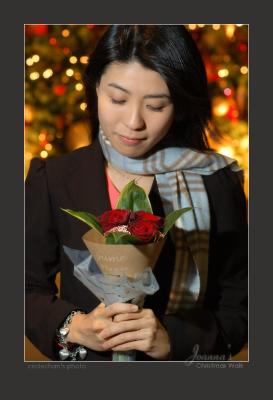 DSC_1039 rose 01.jpg