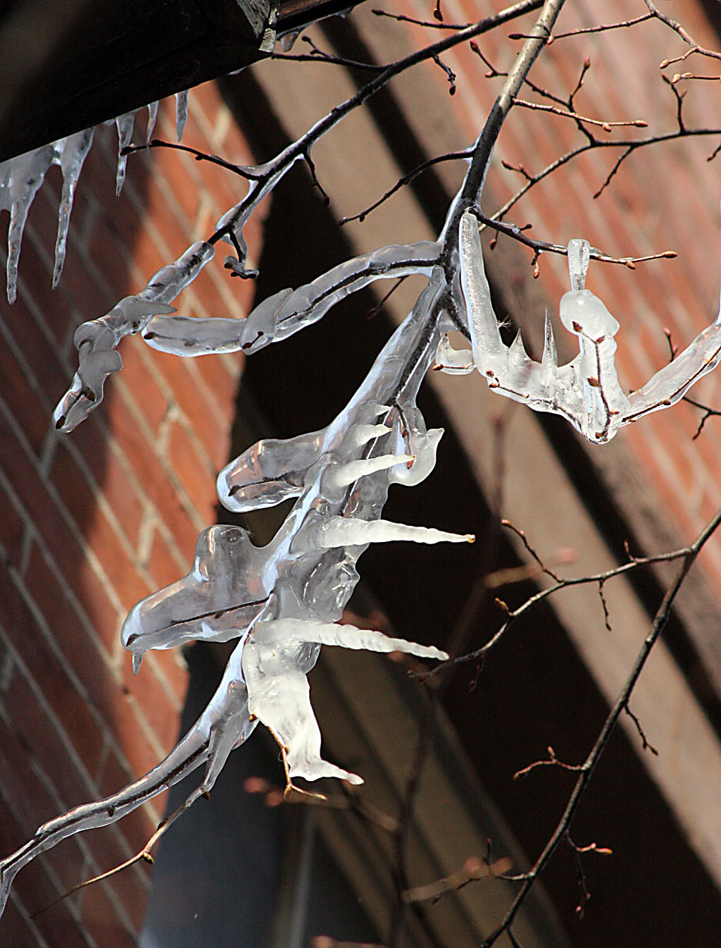 Icicles, Brooklyn Heights