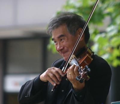 Lead Violinist