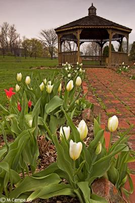 Cutler Garden Gazebo