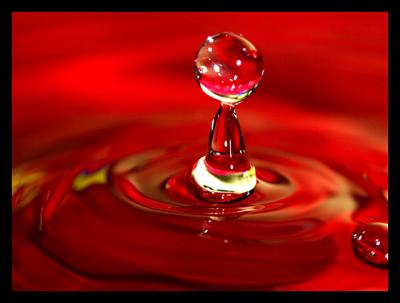 Droplet Series