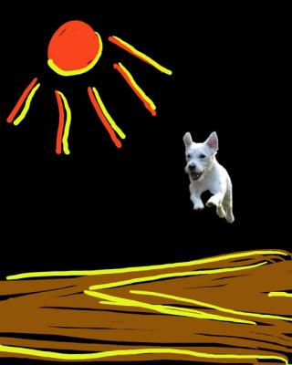Looie's Excellent Adventure