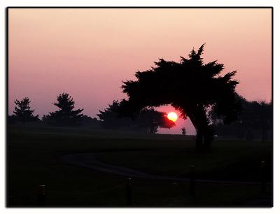 This is how the morning started...sunrise over a golf course