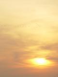 DSC09798.JPG