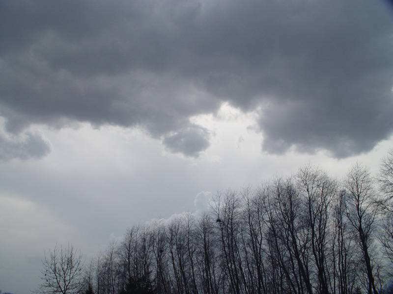 DSC06641.JPG
