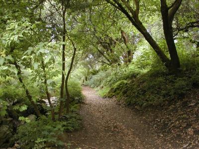 Golden Gate Path