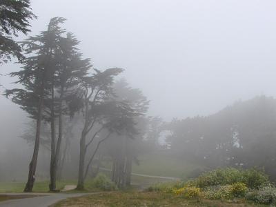 Golden Gate Park & Legion of Honor