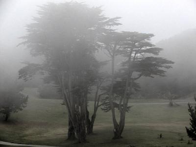 Fog1Levels.jpg