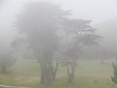 Fog1NoLev.jpg