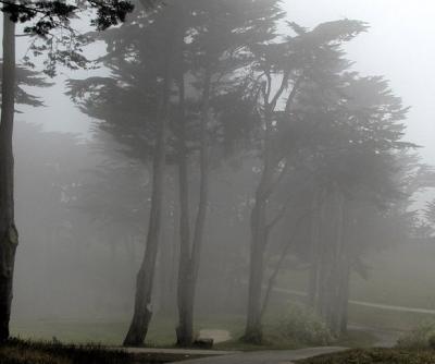 Fog2Levels.jpg