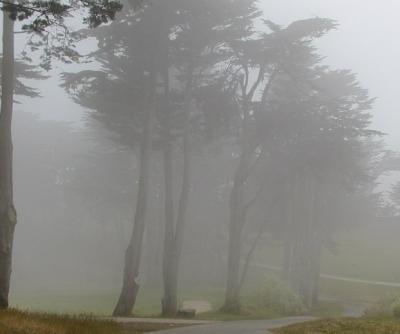 Fog2NoLev.jpg