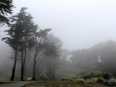 Fog3Levels.jpg