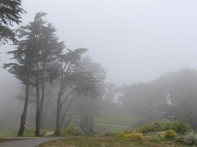 Fog3NoLev.jpg