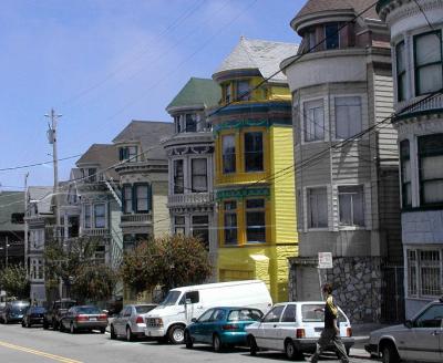 PaintedLadies.jpg