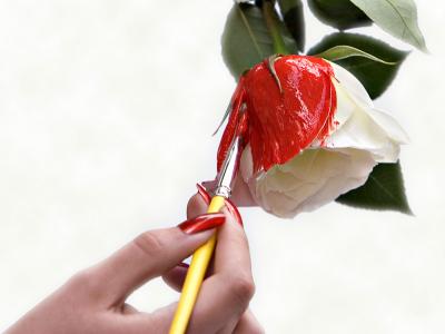 Painting the Roses Red!*