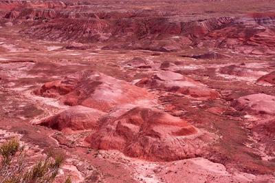 The Painted Desert*