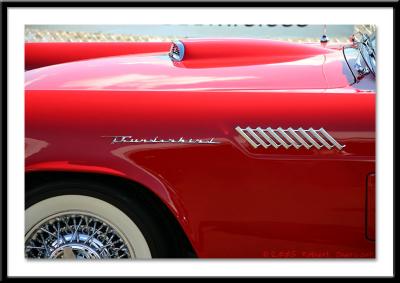 Fabulous T-bird