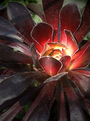 Centered