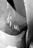 Hailstone Fingerprint 2