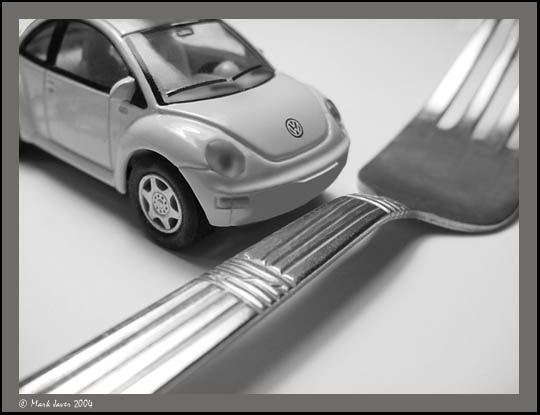 Big Fork In The Road<br>by Markjay