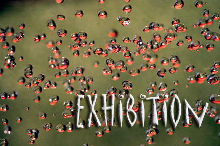 cslr_exhibition.jpg