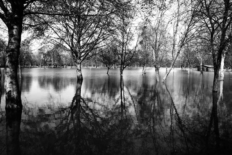 Water, Water, Everywhere*
