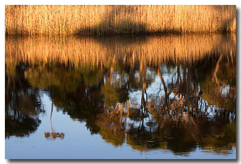 Australian Waterscape *