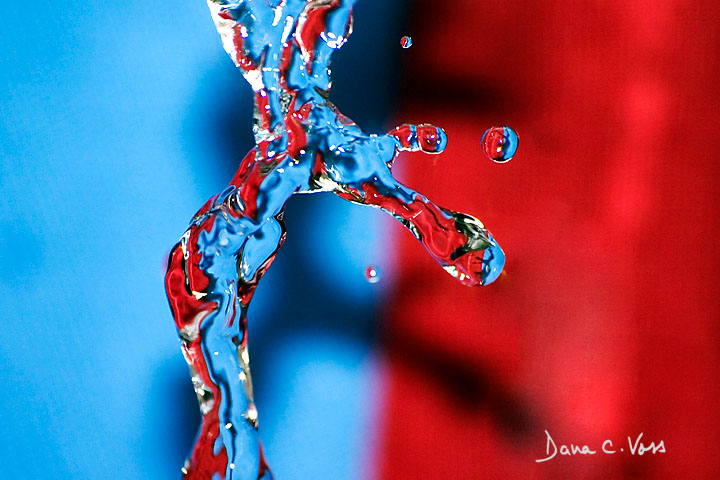 6th Place - Water Moods by Dana C. Voss